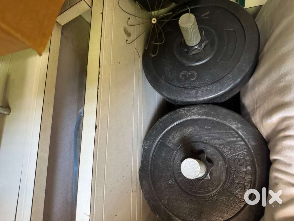 Dumbbells with adjustable weights