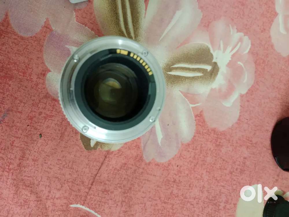 Canon 70-200 F4 USM (non-IS version)