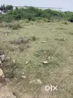Lowest residential housing project site at vadlapemudi