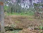 5 cent square plot.. Front road..