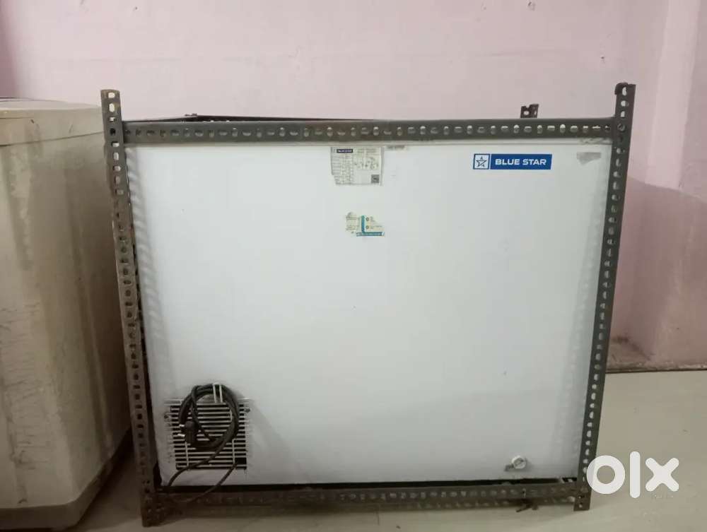 Bluestar Deep freezer