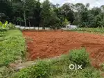 11Cent Square plot for sale @Punnammoodu,Bharanikavu.(next to highway)