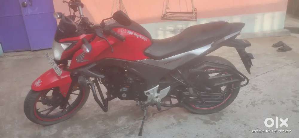 Honda hornet