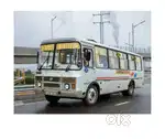 BUS DRIVER IN OTHER COUNTRIES