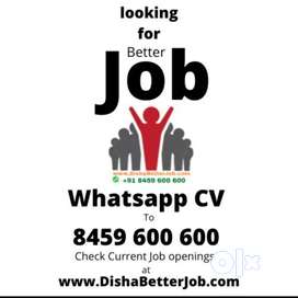 Dtp operator job in Co. At TDI Kundli, Sonipat, WhatsApp Resume