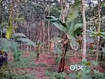 Land with small tiled house for sale
