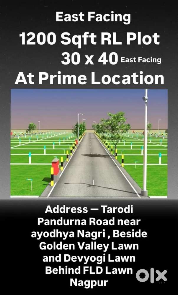 Tarodi layout