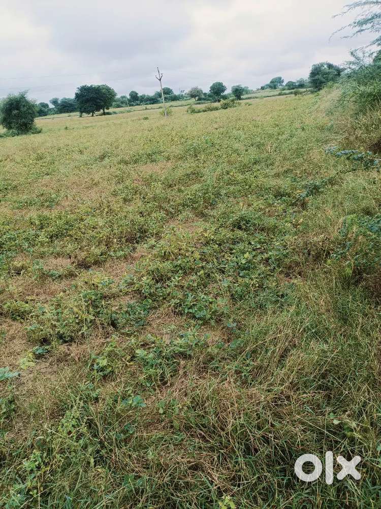 खेत बिकाऊ है