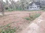 House plot 6 cents near KK road 3.5 lakh/cent