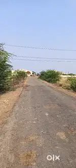 12bigha ploting land dhaneli badagaom k pass damar road front for sell