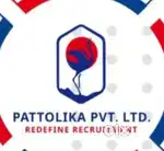 Van delivery e commerce  product  delivery job