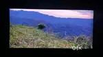 3 bheega land on Hill top
