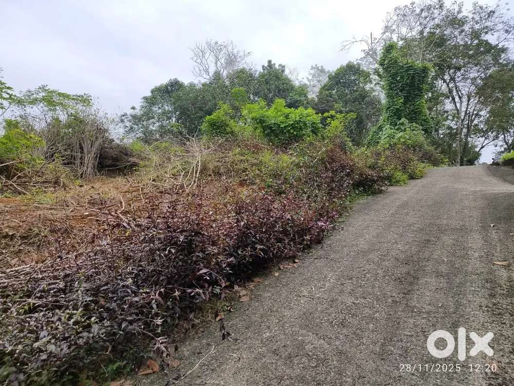 50 cents land for sale in Meenadam, Kottayam