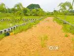 REGISTERED PLOTS FOR SALE