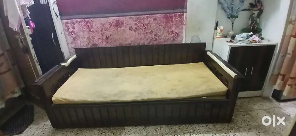 Sofa cum bed with mattress and pillows