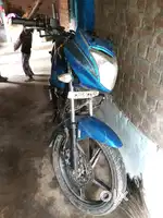 New lena hai