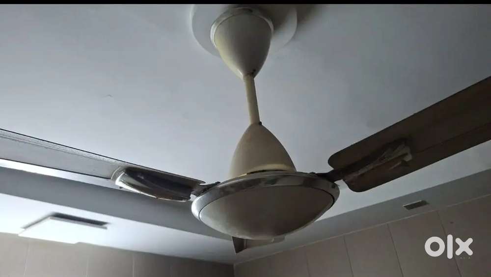 Ceiling fan at negotiable rate