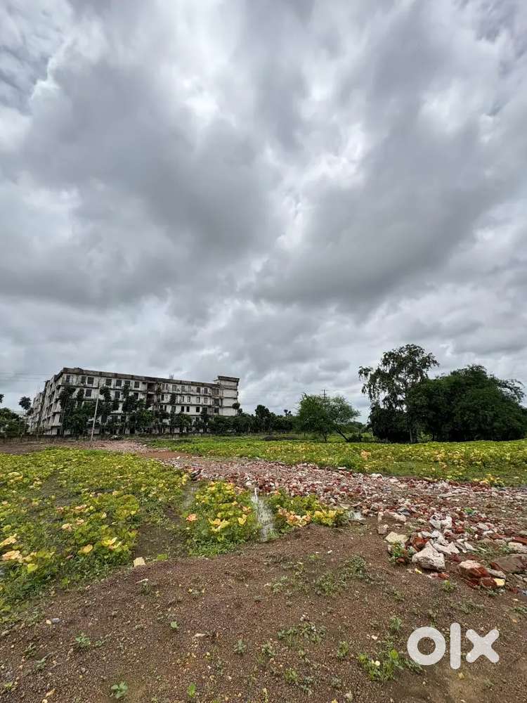 For your best future