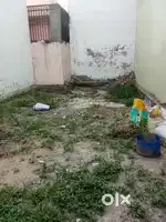 Tarapuri colony