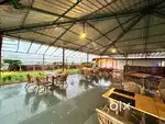 Urgent Required Staff_ kitchen helper, waiter, Indian Chinese cook,