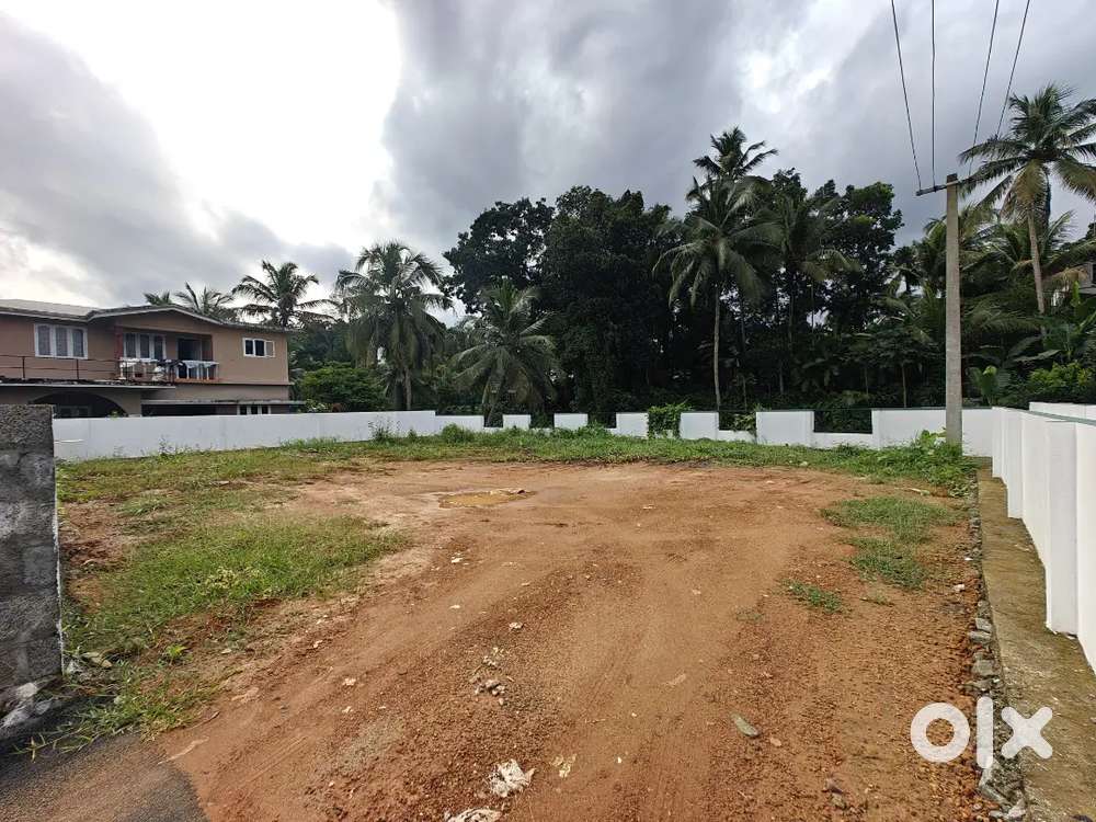 തൊടുപുഴ ടൗൺ മുനിസിപ്പാലിറ്റി 7.900 സെൻ്റ്