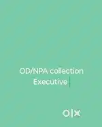 NPA Collection Executive