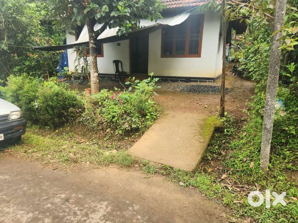 8.5 LAND WITH OLD HOUSE IN COLDY AREA WITH BEAUTIFUL VIEW@ WAYANAD