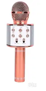 Speaker mic