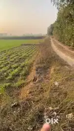 12 bigha jameen at meerut Bijnor highway