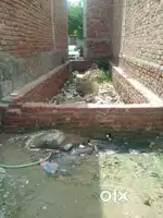 Plot 30 gaz , Delhi , kaushal puri , Sonia vihar , Delhi - 110094