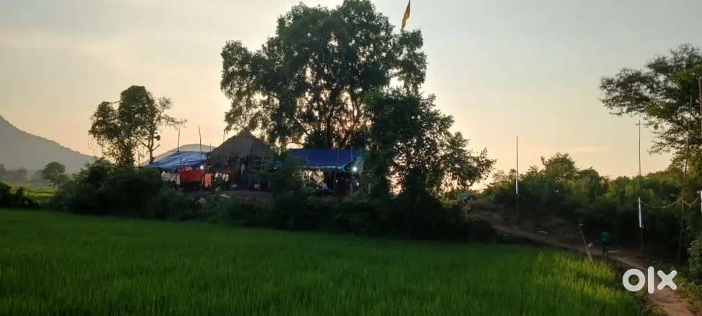 Need a room for rent in Saheed Nagar, Bhubaneswar
