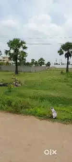 Land available for sale @ Vakalapudi, Kakinada