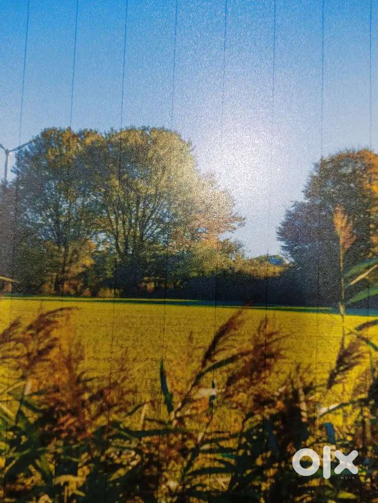 9 Acres land for sale in Khandwa @ 20 Lakhs per Acre