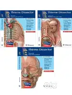 Johri+thieme dissector