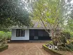 Individual tile roofed house for rent