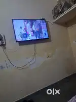 Haier 43 smart tv