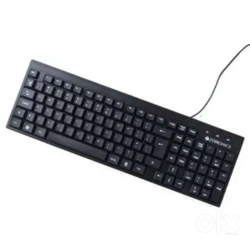 Zebronic ps