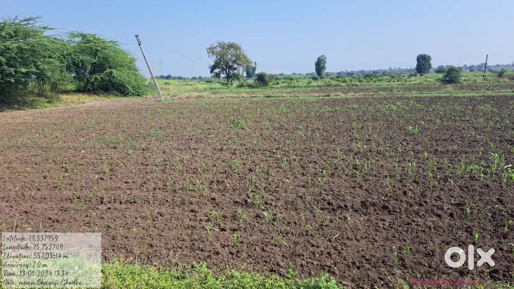 बदनापूर पिरसांगी रोड जमीन विकणे आहे 25 लाख रुपये  प्रती एकर