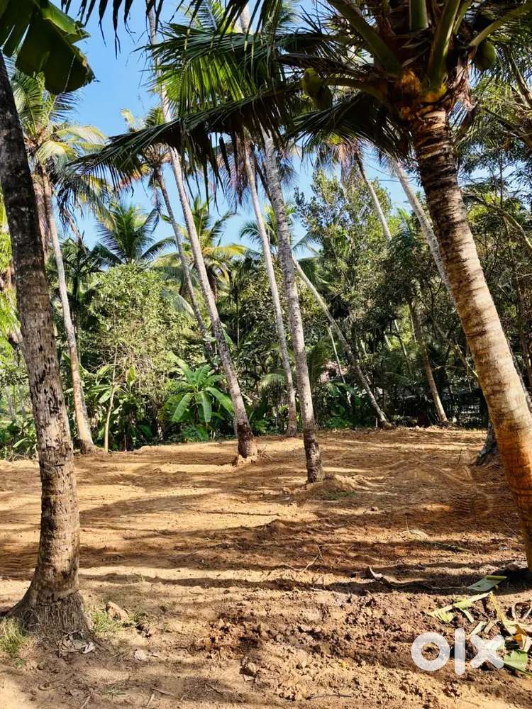 Plote for sale at vellayanii