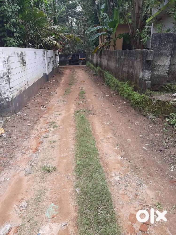 House Plot For Sale - 225000 Lacks /Cent-Chirayinkeezhu