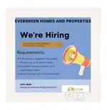 Business Development Executive