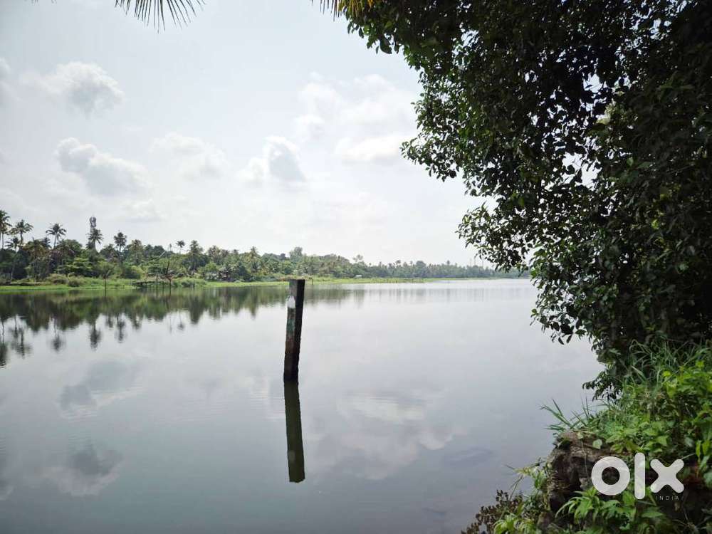 12 Cent Water-Frontage Residential Land for Sale – Varapuzha Area