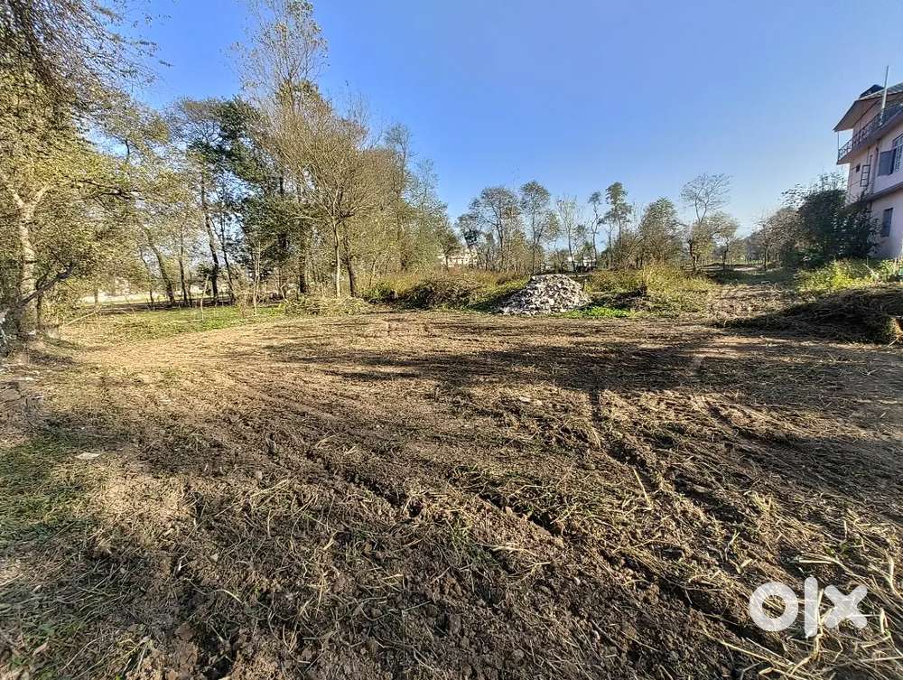 5 Biswa Plot For Sale At Nerchowk