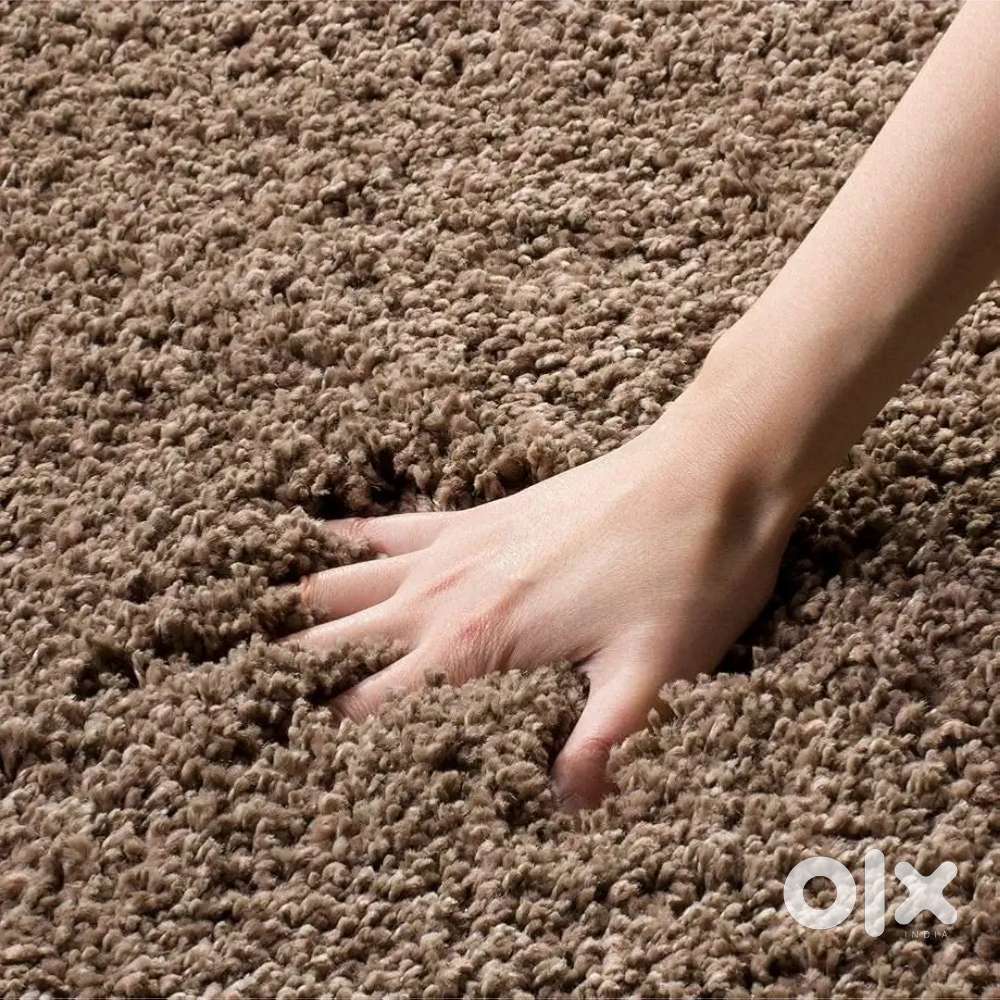 Carpet Brown (Rs 4000) - 5 by 7 feet - Pet friendly +blue office chair