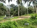 Prime Land for Sale – 4 to 9 Acres Near Chalavara, Palakkad
