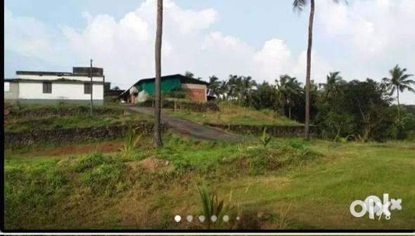 Land for rent located in pattikad contact for more details