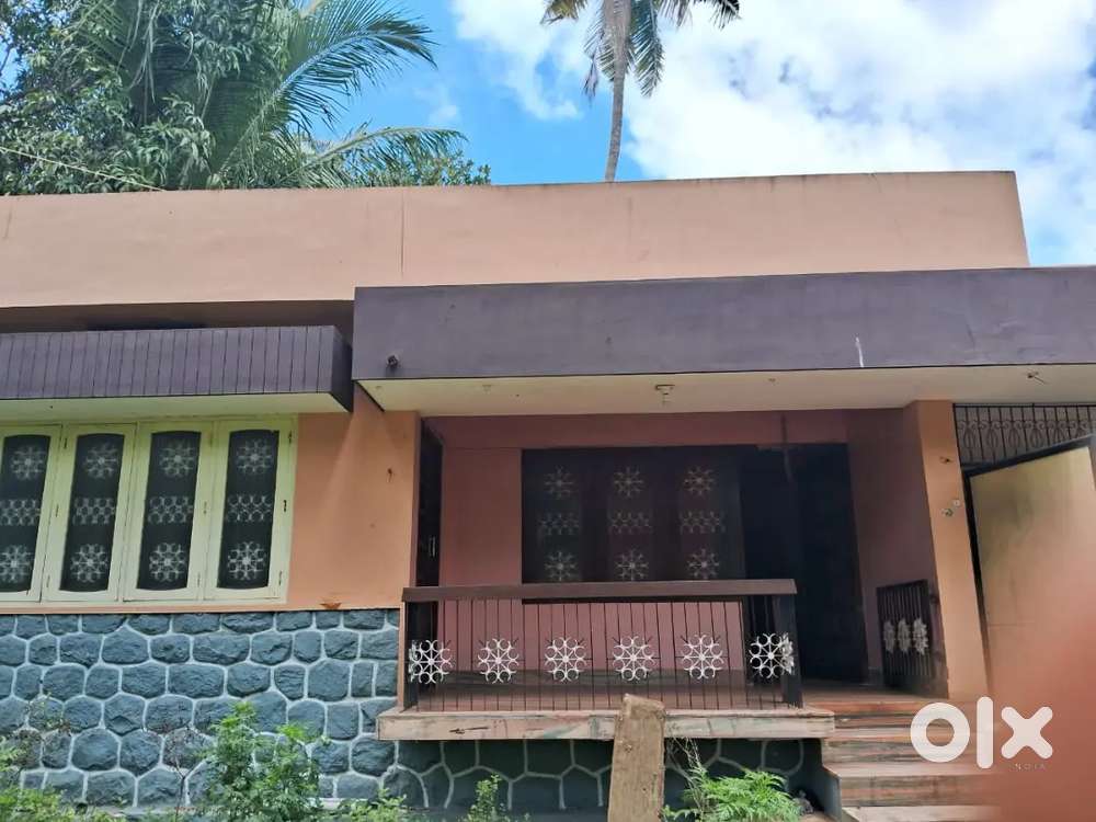 Spacious 3 BHK House for Rent