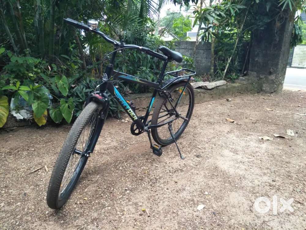 1 year old stryder 2024