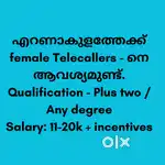 Telecaller