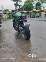 2019 model